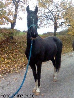 14878_mainimage kopie