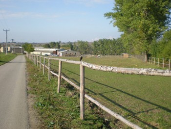 o-ranci11