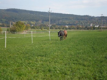 o-ranci9