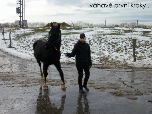 vhav prvn kroky
