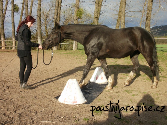 P4020056 kopie
