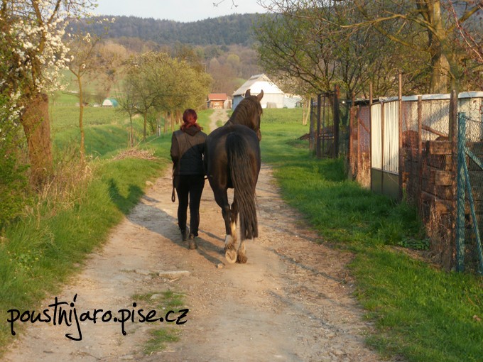 P4120142 kopie