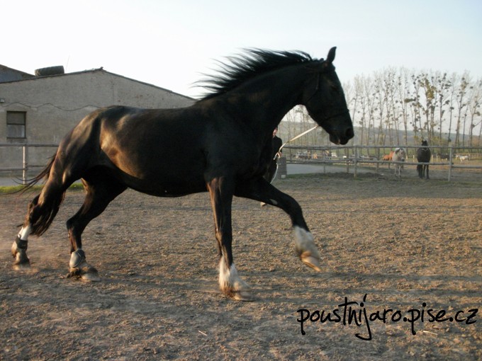 P4140146 kopie