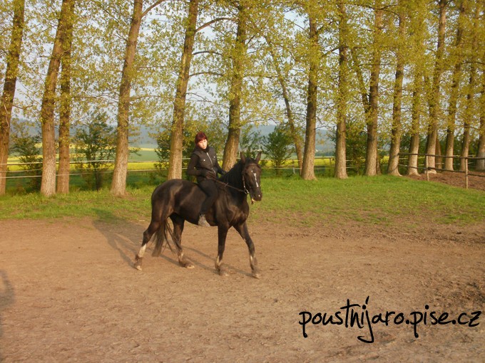 P4250043 kopie