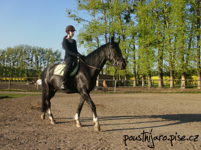 P5040021 kopie
