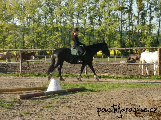 P5040018 kopie