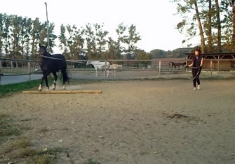 foto2