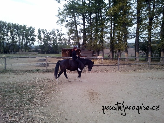 2011-10-05 102
