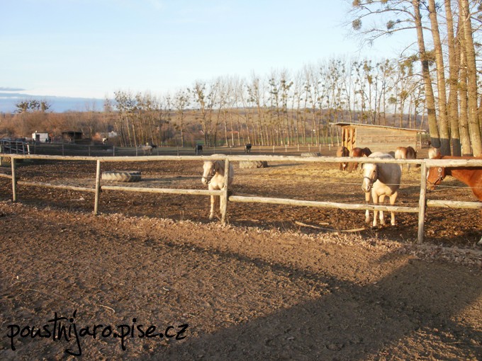 PC120067 kopie