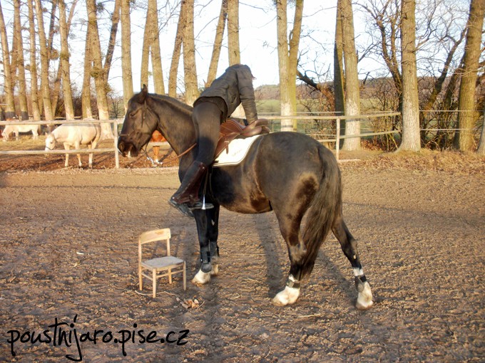PC120075 kopie