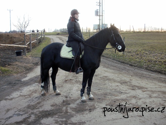 PC120099 kopie