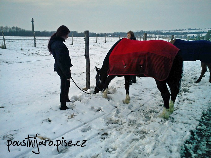 DSC00017 kopie