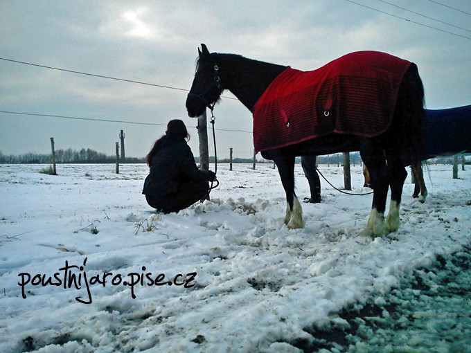 DSC00018 kopie
