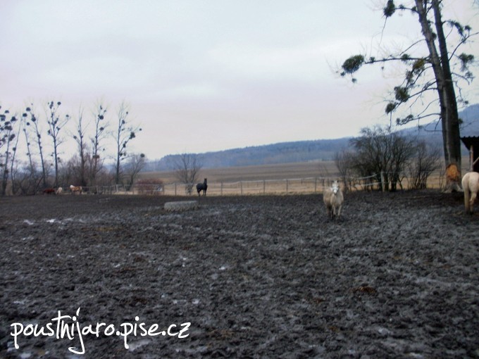 P2150001 kopie