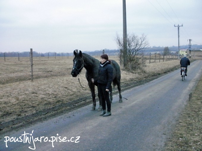 P2150017 kopie
