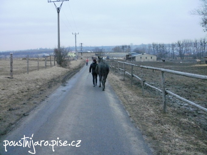 P2150024 kopie