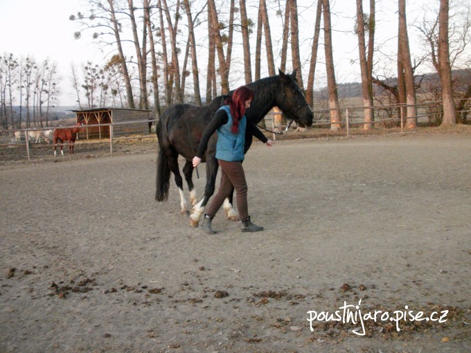 P2260214 kopie