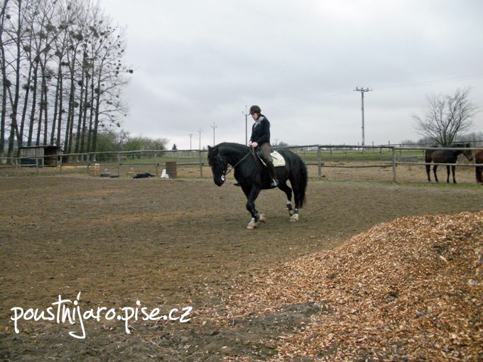 P3200233 kopie