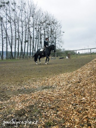 P3200241 kopie