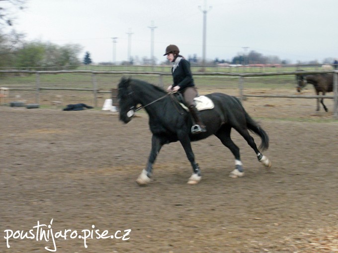 P3200251 kopie