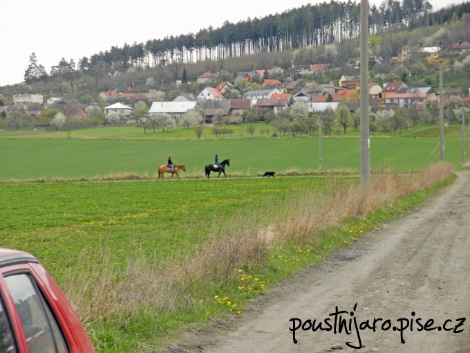 P3300279 kopie