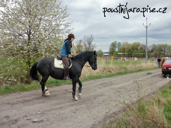 P33002843 kopie