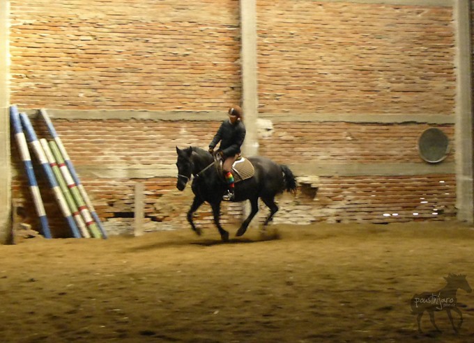 P1020450 kopie