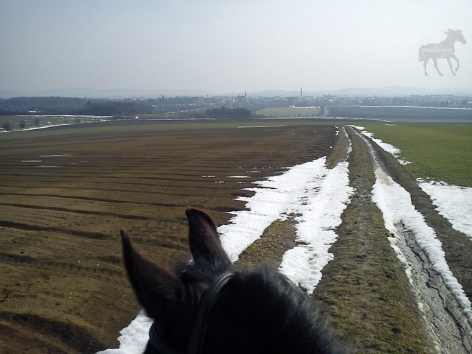 DSC00030 kopie