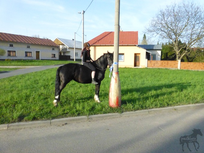 P1030086 kopie