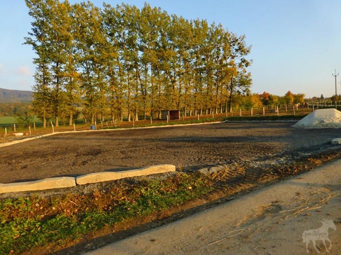 jzdrnaj