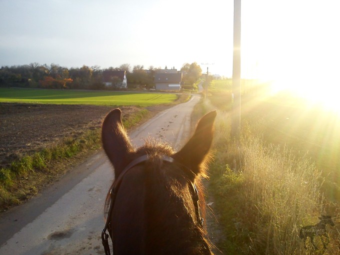 DSC00089 kopie