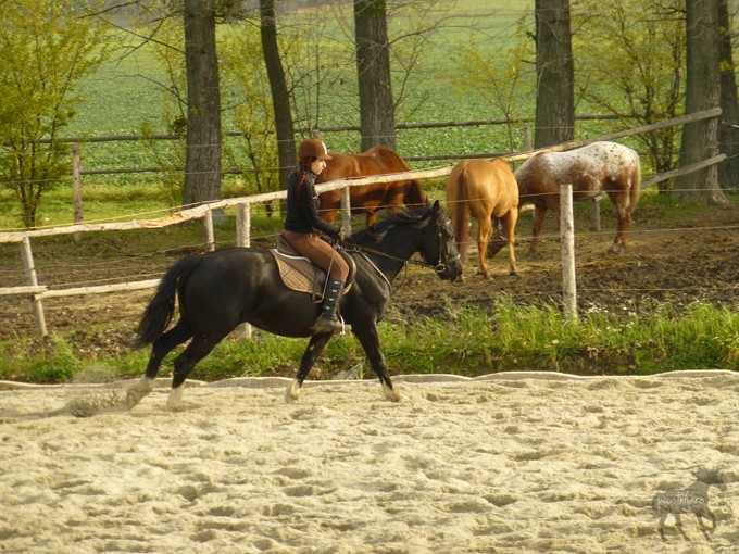 P1050485 kopie