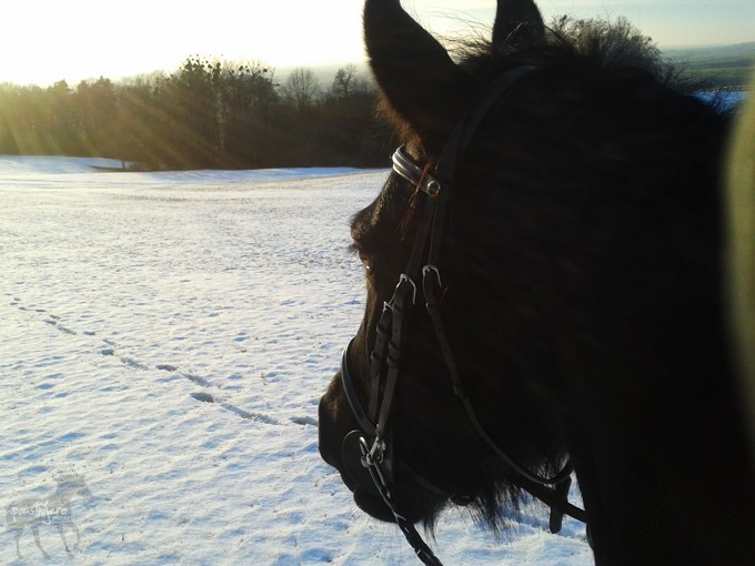 20140213_162203 kopie