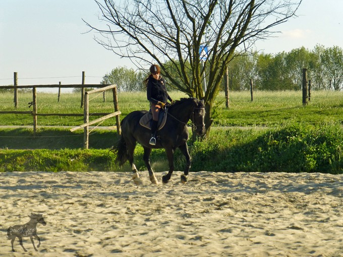 P1060131 kopie