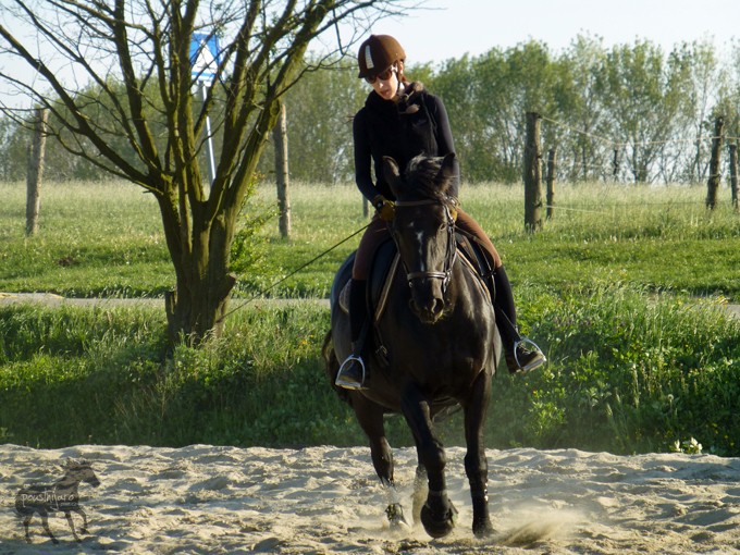 P1060173 kopie