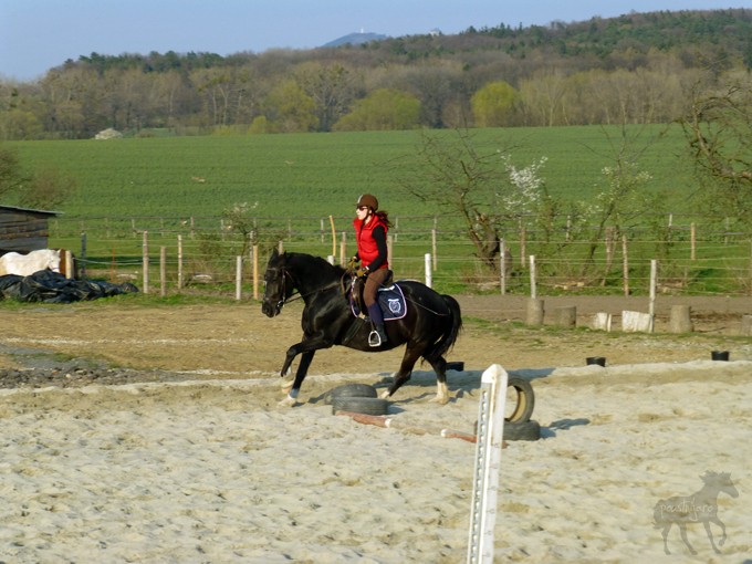 P1050931 kopie
