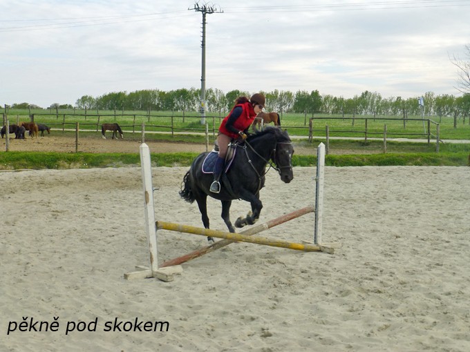 P1060300 kopie