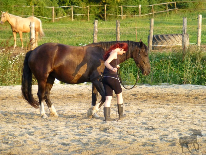 P1070375 kopie