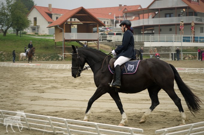 svtlo